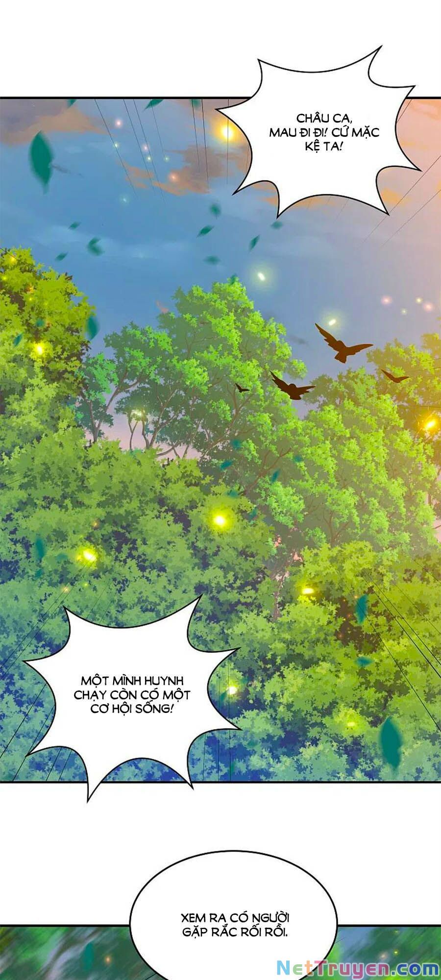 đọc truyện Phượng Hoàng Thác: Chuyên Sủng Khí Thê Chương 213 ảnh 3 tại Thiên Thai Truyện