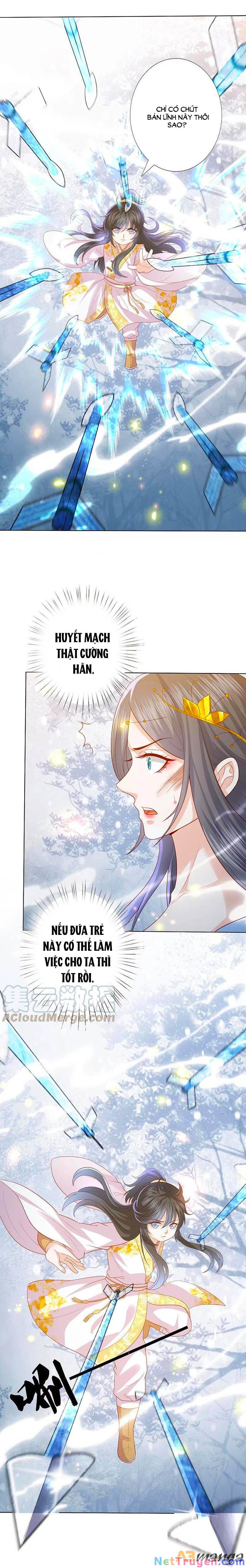 đọc truyện Phượng Hoàng Thác: Chuyên Sủng Khí Thê Chương 216 ảnh 3 tại Thiên Thai Truyện