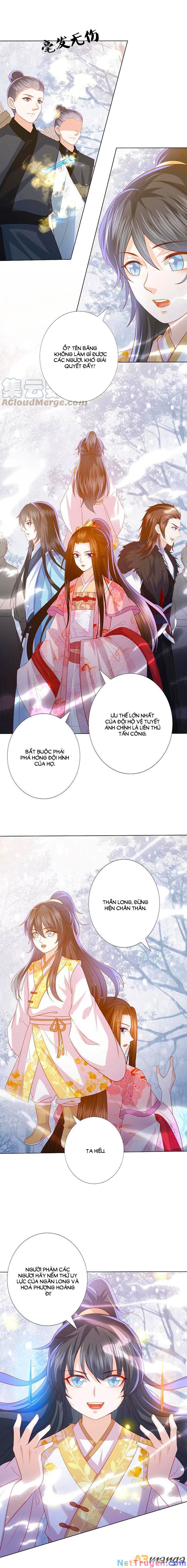 đọc truyện Phượng Hoàng Thác: Chuyên Sủng Khí Thê Chương 216 ảnh 4 tại Thiên Thai Truyện