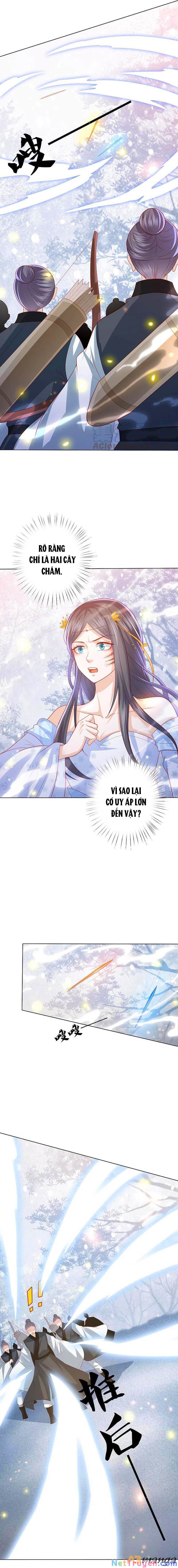 đọc truyện Phượng Hoàng Thác: Chuyên Sủng Khí Thê Chương 216 ảnh 5 tại Thiên Thai Truyện