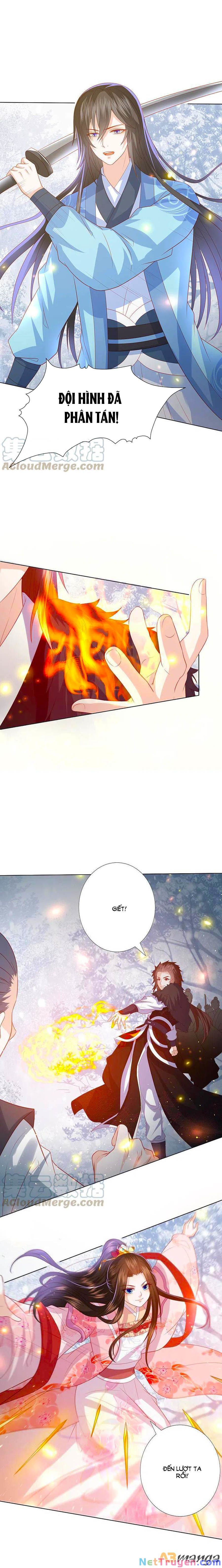 đọc truyện Phượng Hoàng Thác: Chuyên Sủng Khí Thê Chương 216 ảnh 6 tại Thiên Thai Truyện