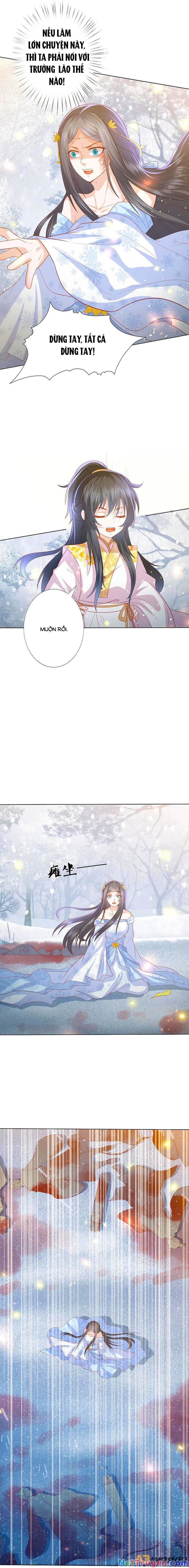 đọc truyện Phượng Hoàng Thác: Chuyên Sủng Khí Thê Chương 216 ảnh 7 tại Thiên Thai Truyện