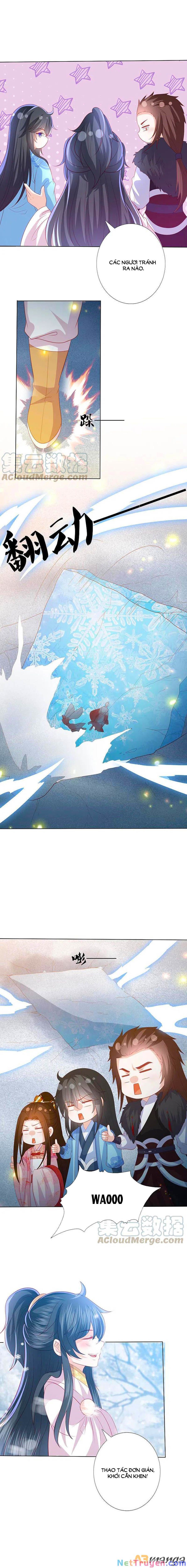 đọc truyện Phượng Hoàng Thác: Chuyên Sủng Khí Thê Chương 216 ảnh 9 tại Thiên Thai Truyện