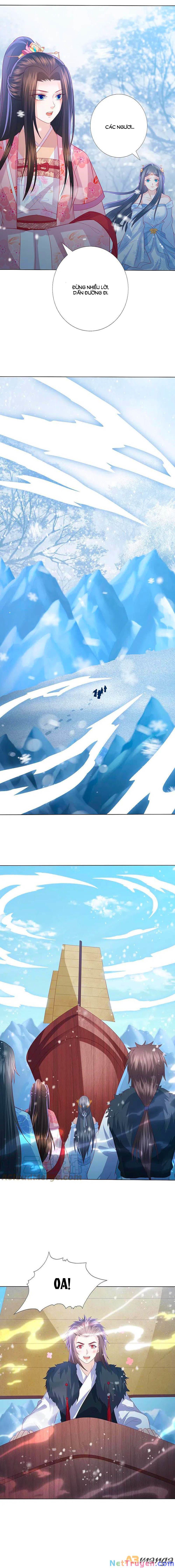 đọc truyện Phượng Hoàng Thác: Chuyên Sủng Khí Thê Chương 216 ảnh 10 tại Thiên Thai Truyện