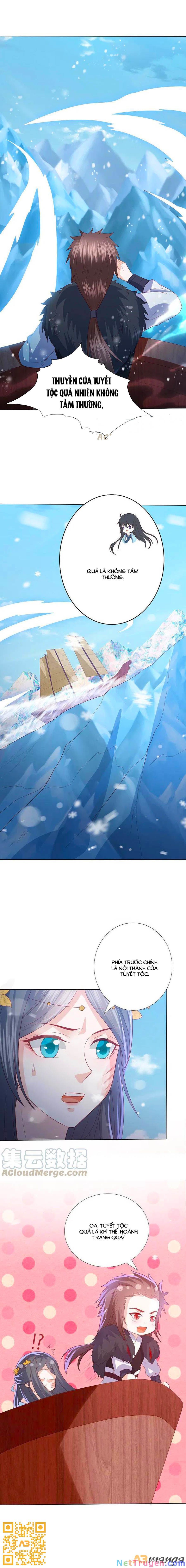 đọc truyện Phượng Hoàng Thác: Chuyên Sủng Khí Thê Chương 216 ảnh 11 tại Thiên Thai Truyện