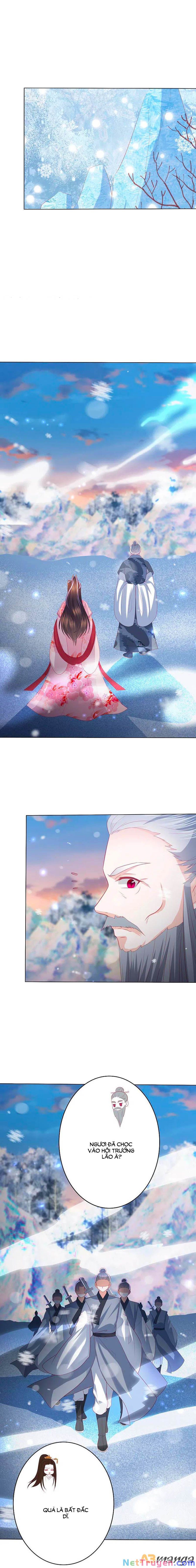 đọc truyện Phượng Hoàng Thác: Chuyên Sủng Khí Thê Chương 218 ảnh 4 tại Thiên Thai Truyện