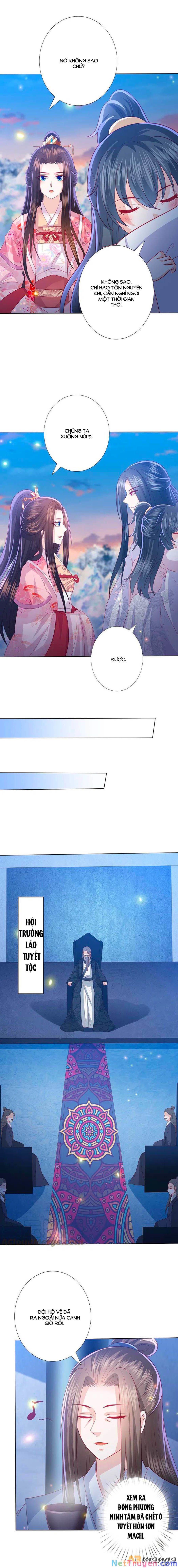 đọc truyện Phượng Hoàng Thác: Chuyên Sủng Khí Thê Chương 218 ảnh 7 tại Thiên Thai Truyện