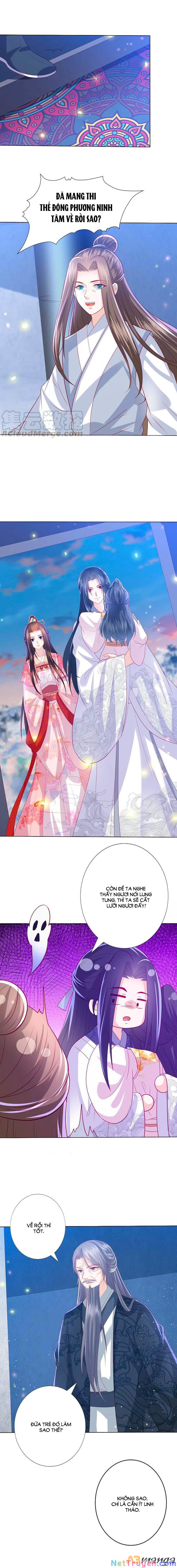 đọc truyện Phượng Hoàng Thác: Chuyên Sủng Khí Thê Chương 218 ảnh 8 tại Thiên Thai Truyện