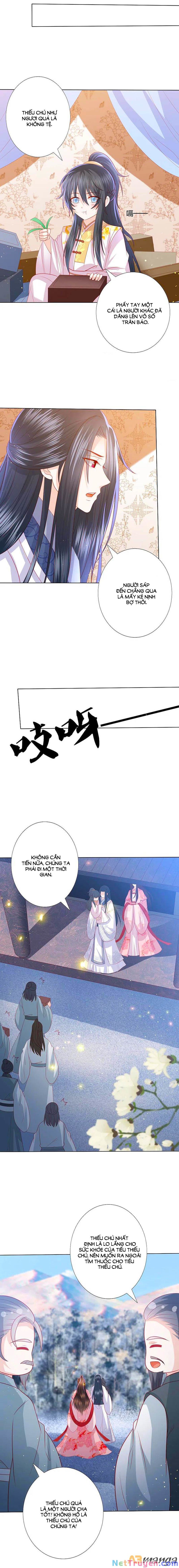 đọc truyện Phượng Hoàng Thác: Chuyên Sủng Khí Thê Chương 218 ảnh 9 tại Thiên Thai Truyện