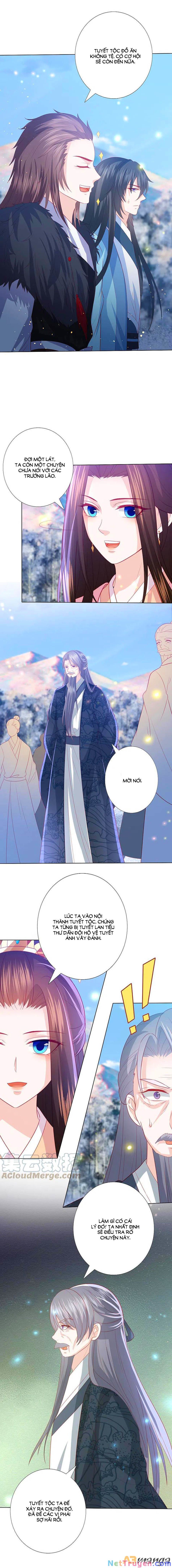 đọc truyện Phượng Hoàng Thác: Chuyên Sủng Khí Thê Chương 218 ảnh 10 tại Thiên Thai Truyện