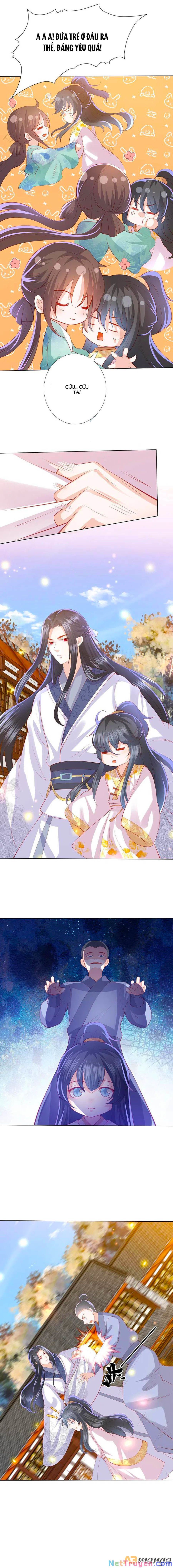 đọc truyện Phượng Hoàng Thác: Chuyên Sủng Khí Thê Chương 220 ảnh 5 tại Thiên Thai Truyện