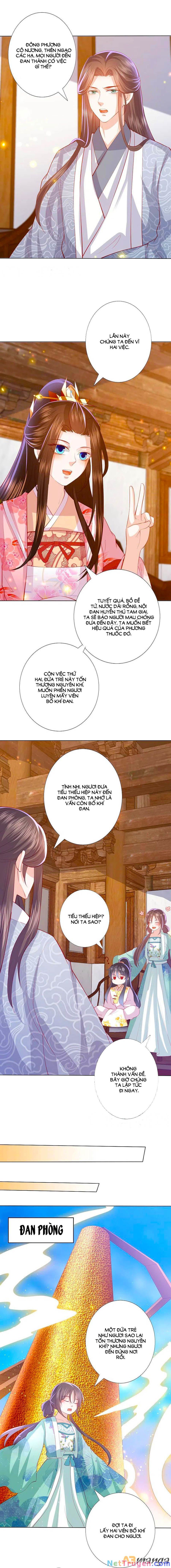 đọc truyện Phượng Hoàng Thác: Chuyên Sủng Khí Thê Chương 220 ảnh 8 tại Thiên Thai Truyện