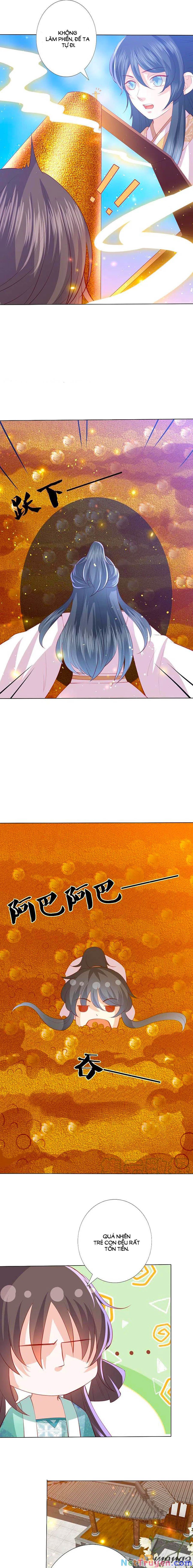 đọc truyện Phượng Hoàng Thác: Chuyên Sủng Khí Thê Chương 220 ảnh 9 tại Thiên Thai Truyện