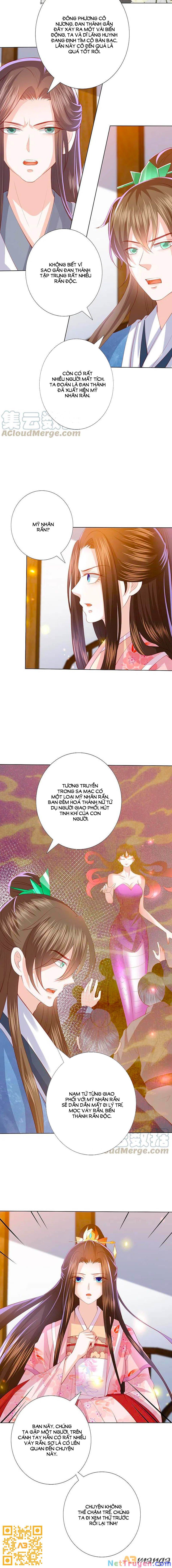 đọc truyện Phượng Hoàng Thác: Chuyên Sủng Khí Thê Chương 220 ảnh 10 tại Thiên Thai Truyện