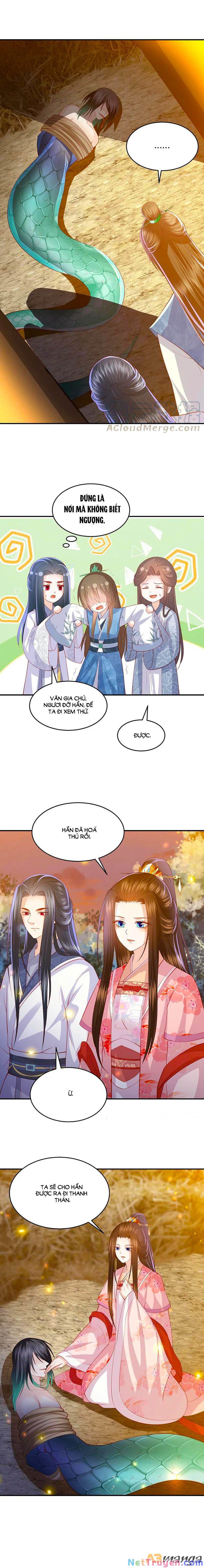 đọc truyện Phượng Hoàng Thác: Chuyên Sủng Khí Thê Chương 221 ảnh 4 tại Thiên Thai Truyện