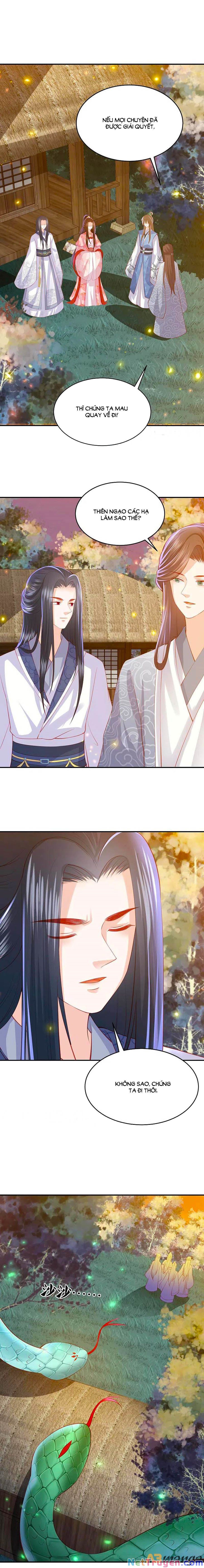 đọc truyện Phượng Hoàng Thác: Chuyên Sủng Khí Thê Chương 221 ảnh 5 tại Thiên Thai Truyện