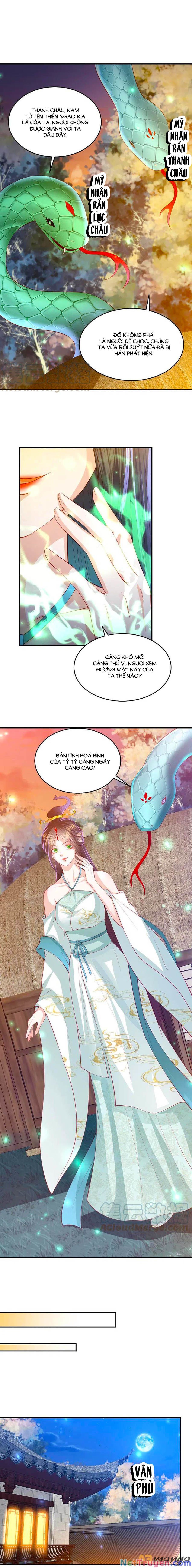 đọc truyện Phượng Hoàng Thác: Chuyên Sủng Khí Thê Chương 221 ảnh 6 tại Thiên Thai Truyện