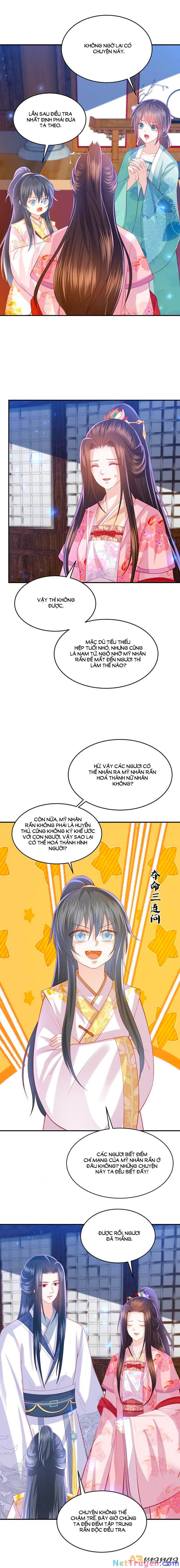 đọc truyện Phượng Hoàng Thác: Chuyên Sủng Khí Thê Chương 221 ảnh 7 tại Thiên Thai Truyện