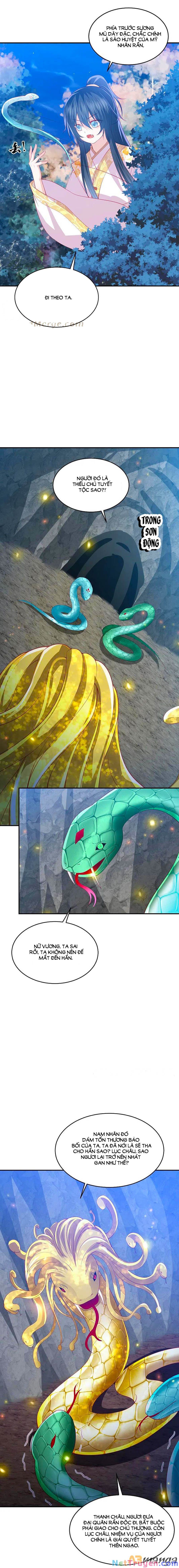 đọc truyện Phượng Hoàng Thác: Chuyên Sủng Khí Thê Chương 221 ảnh 9 tại Thiên Thai Truyện