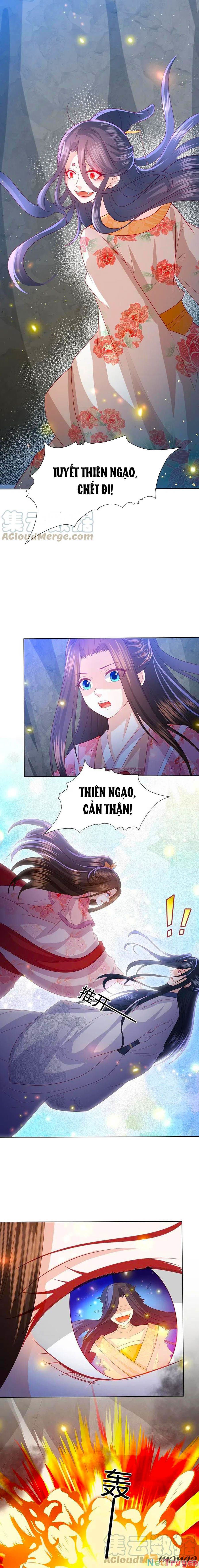 đọc truyện Phượng Hoàng Thác: Chuyên Sủng Khí Thê Chương 222 ảnh 12 tại Thiên Thai Truyện