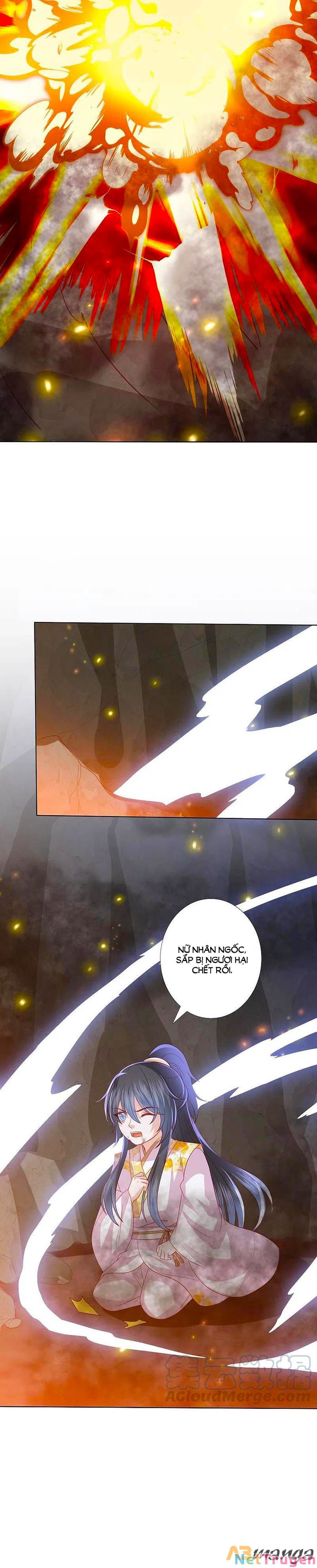 đọc truyện Phượng Hoàng Thác: Chuyên Sủng Khí Thê Chương 222 ảnh 13 tại Thiên Thai Truyện