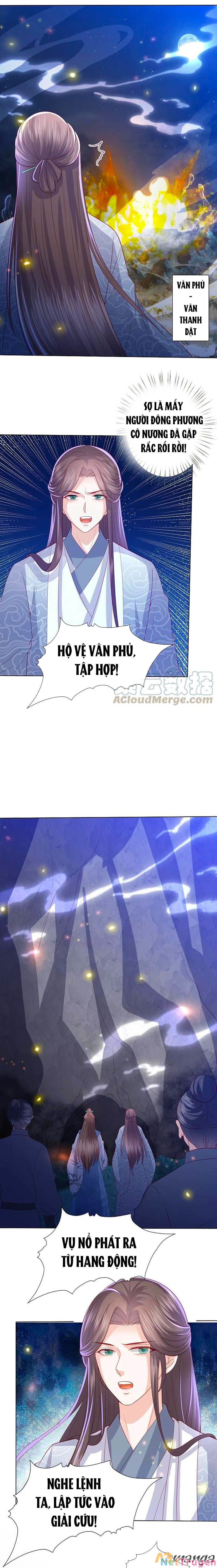 đọc truyện Phượng Hoàng Thác: Chuyên Sủng Khí Thê Chương 222 ảnh 14 tại Thiên Thai Truyện