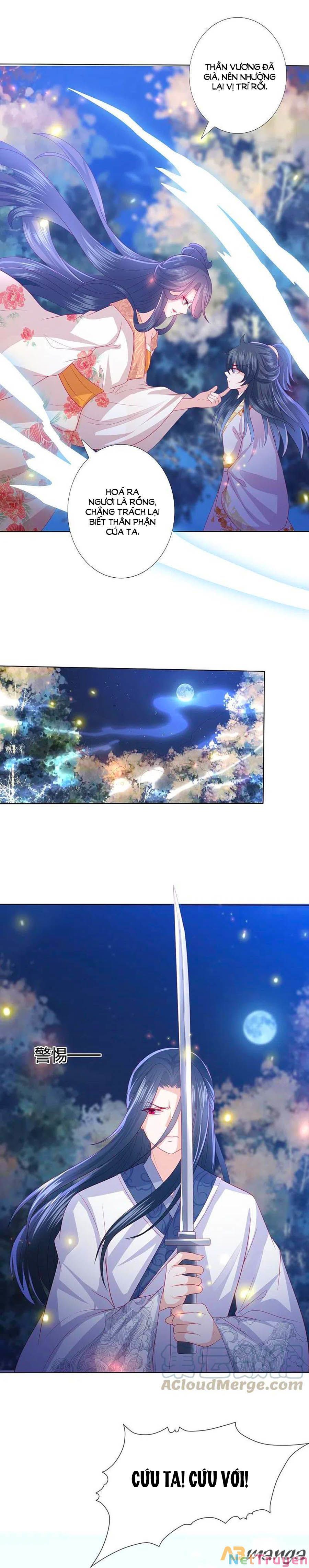 đọc truyện Phượng Hoàng Thác: Chuyên Sủng Khí Thê Chương 222 ảnh 4 tại Thiên Thai Truyện