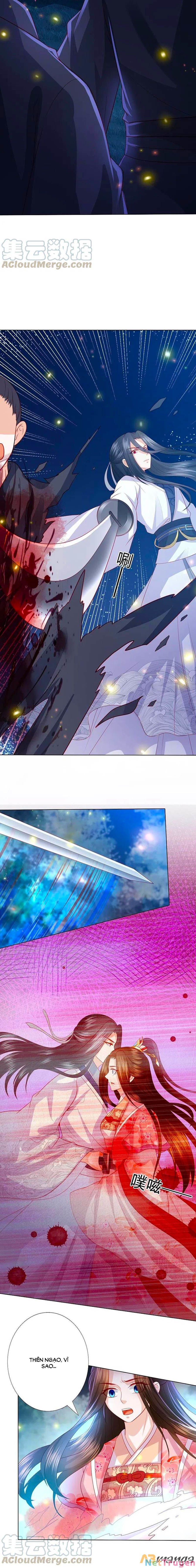 đọc truyện Phượng Hoàng Thác: Chuyên Sủng Khí Thê Chương 222 ảnh 6 tại Thiên Thai Truyện