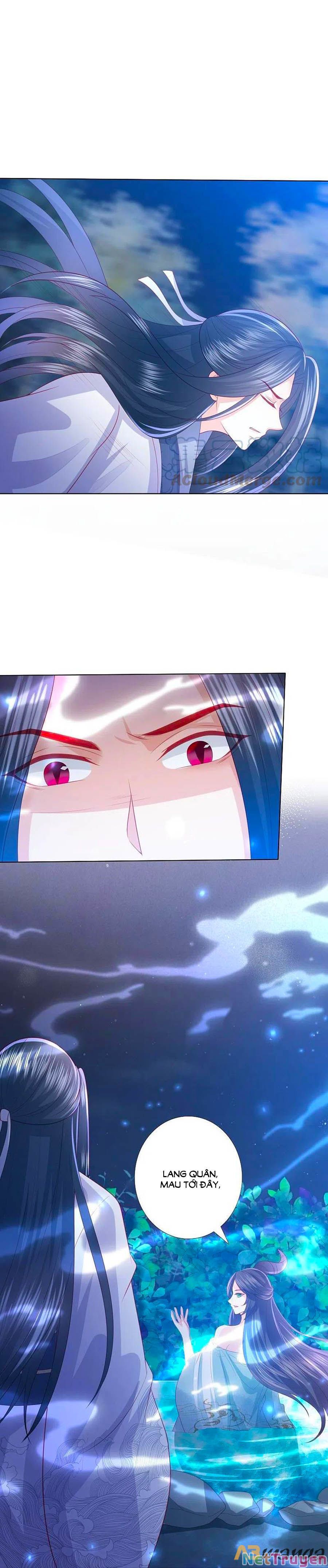 đọc truyện Phượng Hoàng Thác: Chuyên Sủng Khí Thê Chương 222 ảnh 8 tại Thiên Thai Truyện