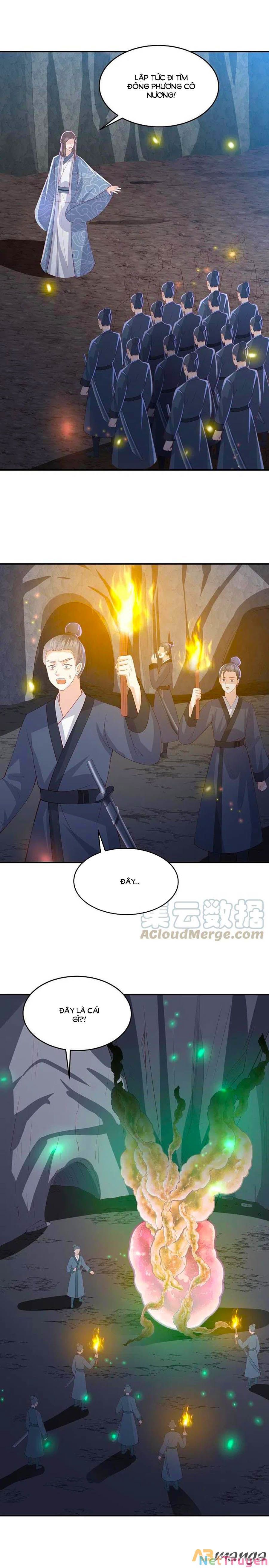 đọc truyện Phượng Hoàng Thác: Chuyên Sủng Khí Thê Chương 223 ảnh 3 tại Thiên Thai Truyện