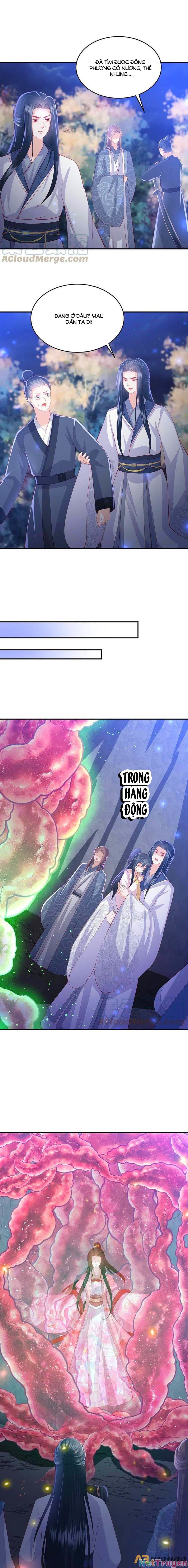 đọc truyện Phượng Hoàng Thác: Chuyên Sủng Khí Thê Chương 223 ảnh 4 tại Thiên Thai Truyện