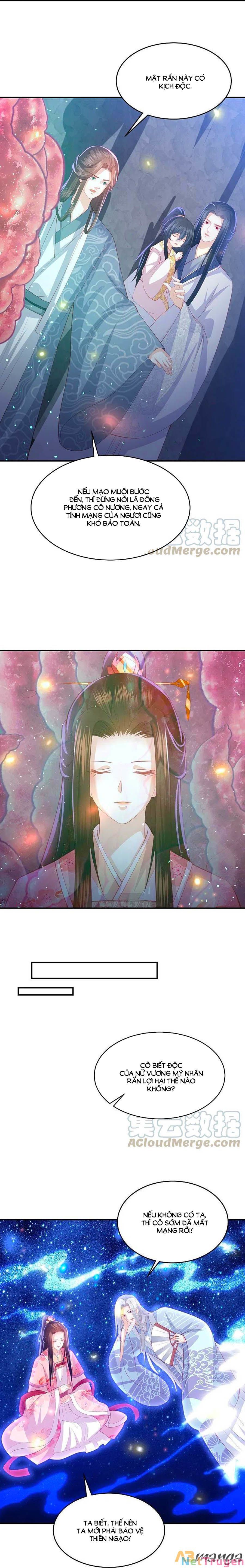 đọc truyện Phượng Hoàng Thác: Chuyên Sủng Khí Thê Chương 223 ảnh 5 tại Thiên Thai Truyện