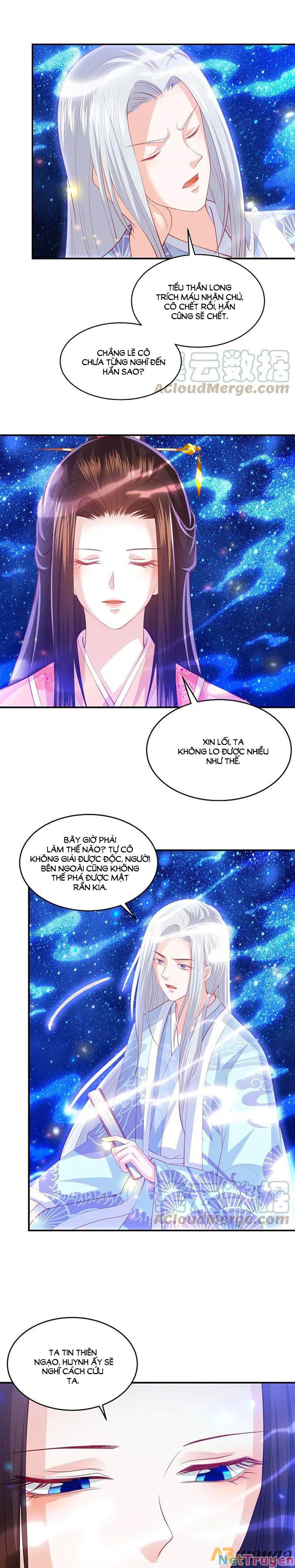 đọc truyện Phượng Hoàng Thác: Chuyên Sủng Khí Thê Chương 223 ảnh 6 tại Thiên Thai Truyện