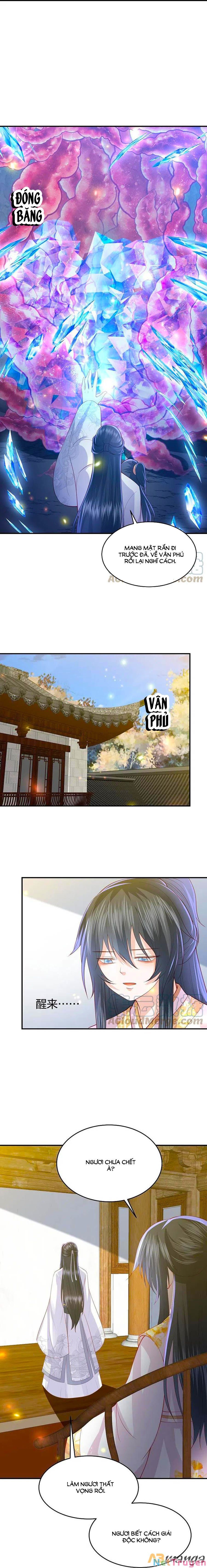 đọc truyện Phượng Hoàng Thác: Chuyên Sủng Khí Thê Chương 223 ảnh 7 tại Thiên Thai Truyện