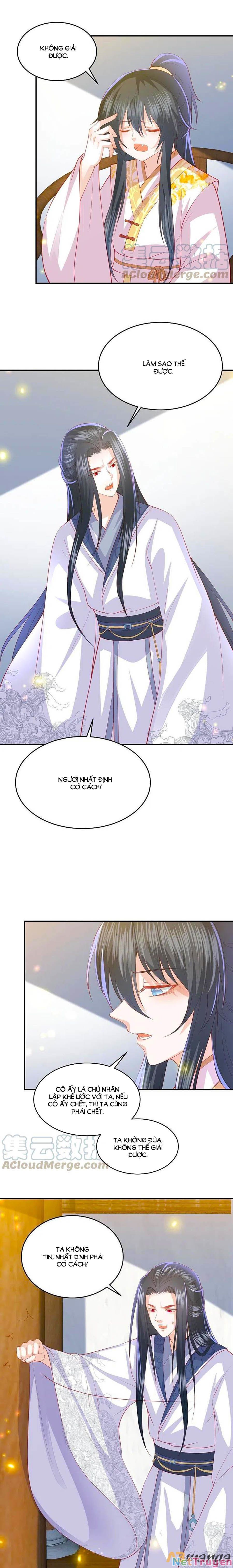 đọc truyện Phượng Hoàng Thác: Chuyên Sủng Khí Thê Chương 223 ảnh 8 tại Thiên Thai Truyện