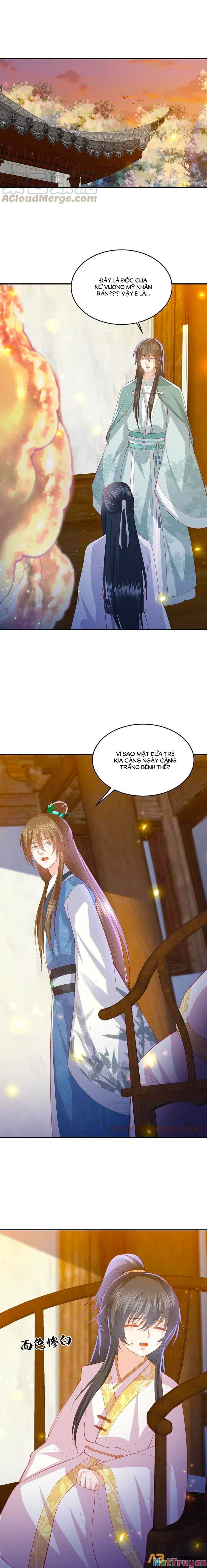 đọc truyện Phượng Hoàng Thác: Chuyên Sủng Khí Thê Chương 223 ảnh 11 tại Thiên Thai Truyện