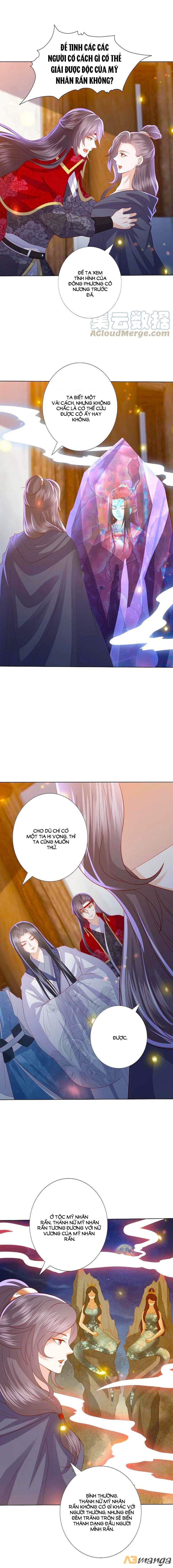 đọc truyện Phượng Hoàng Thác: Chuyên Sủng Khí Thê Chương 224 ảnh 4 tại Thiên Thai Truyện