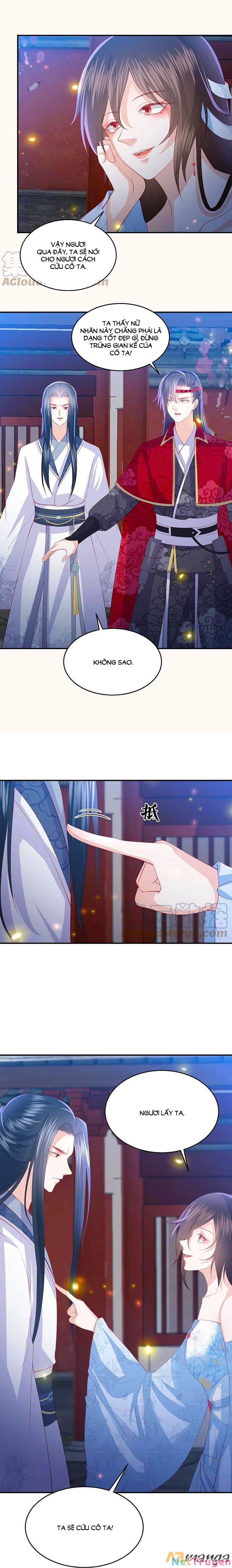 đọc truyện Phượng Hoàng Thác: Chuyên Sủng Khí Thê Chương 225 ảnh 7 tại Thiên Thai Truyện