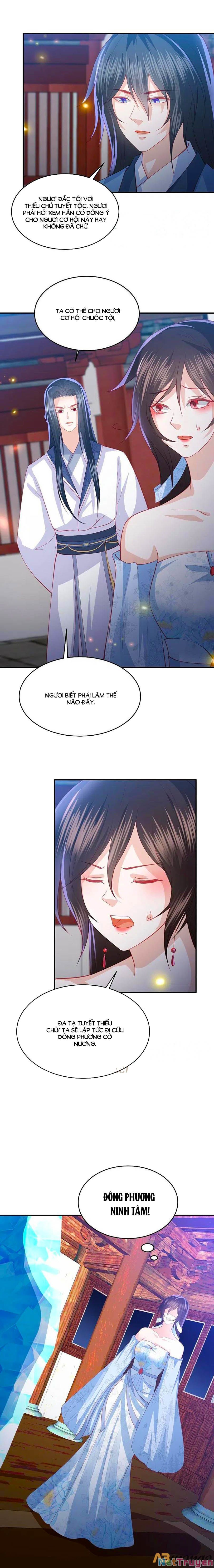 đọc truyện Phượng Hoàng Thác: Chuyên Sủng Khí Thê Chương 225 ảnh 10 tại Thiên Thai Truyện