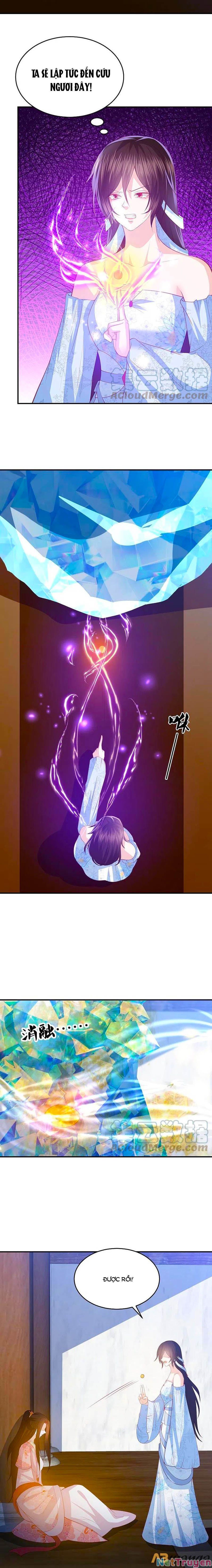 đọc truyện Phượng Hoàng Thác: Chuyên Sủng Khí Thê Chương 225 ảnh 11 tại Thiên Thai Truyện