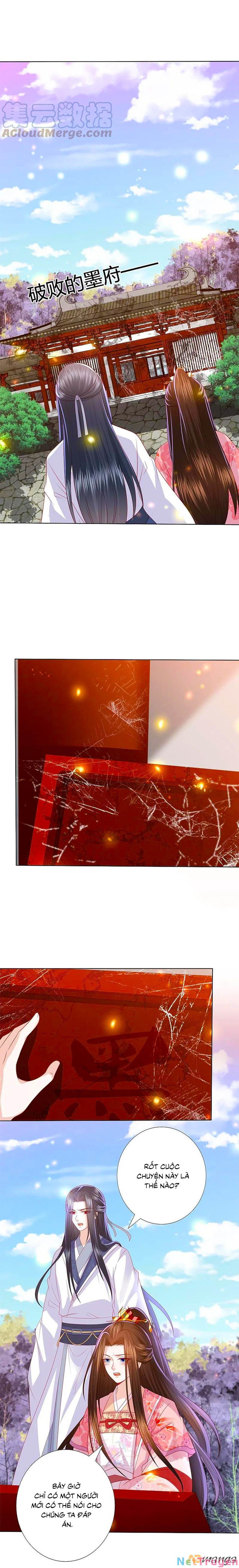 đọc truyện Phượng Hoàng Thác: Chuyên Sủng Khí Thê Chương 228 ảnh 3 tại Thiên Thai Truyện