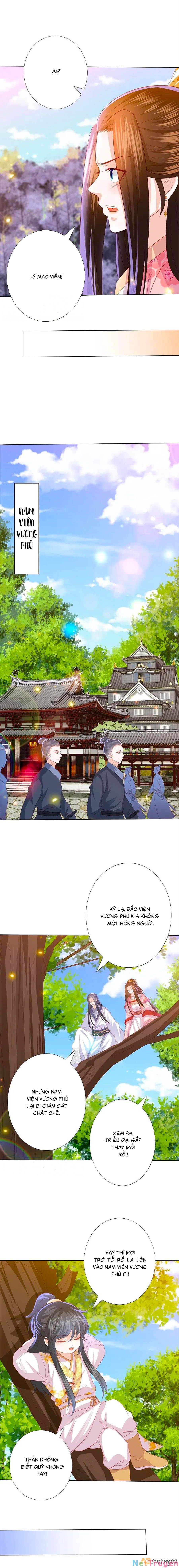 đọc truyện Phượng Hoàng Thác: Chuyên Sủng Khí Thê Chương 228 ảnh 4 tại Thiên Thai Truyện