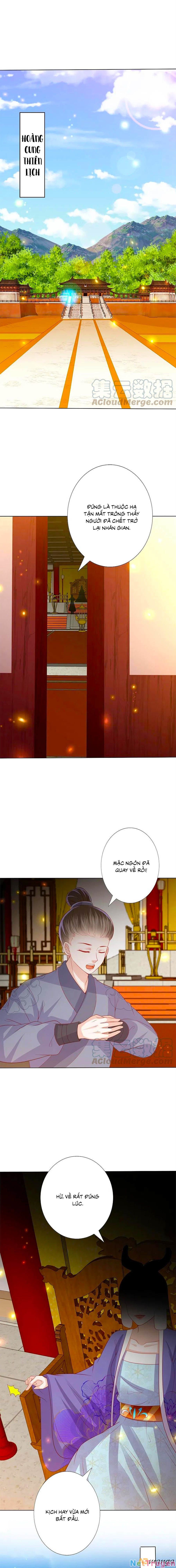 đọc truyện Phượng Hoàng Thác: Chuyên Sủng Khí Thê Chương 228 ảnh 5 tại Thiên Thai Truyện