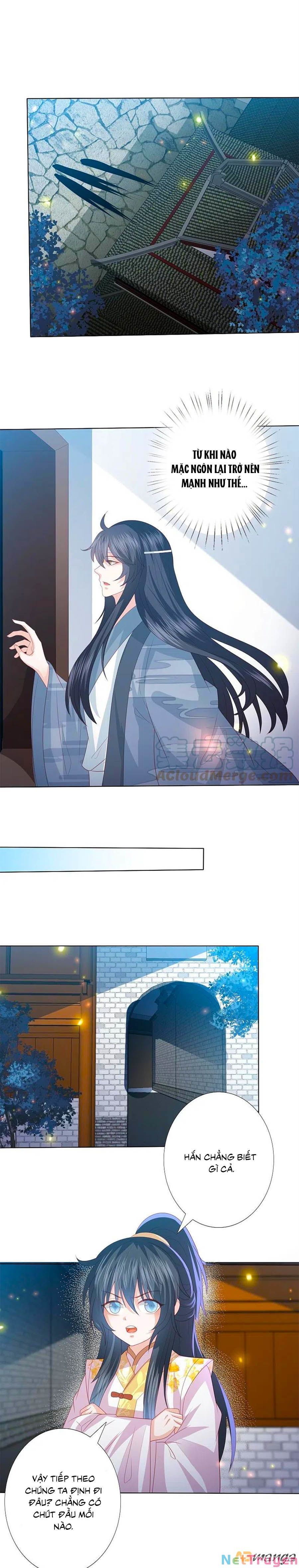 đọc truyện Phượng Hoàng Thác: Chuyên Sủng Khí Thê Chương 228 ảnh 10 tại Thiên Thai Truyện