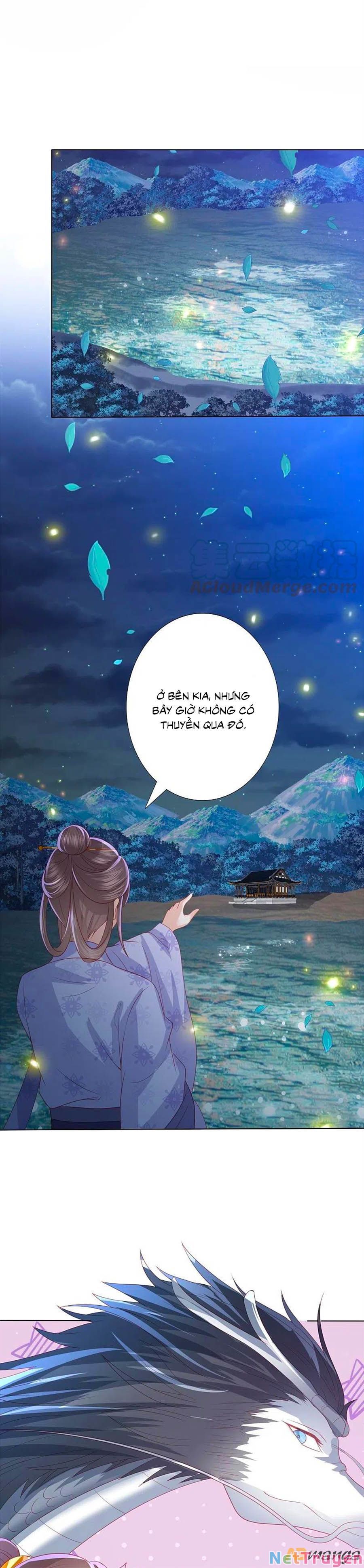 đọc truyện Phượng Hoàng Thác: Chuyên Sủng Khí Thê Chương 230 ảnh 7 tại Thiên Thai Truyện