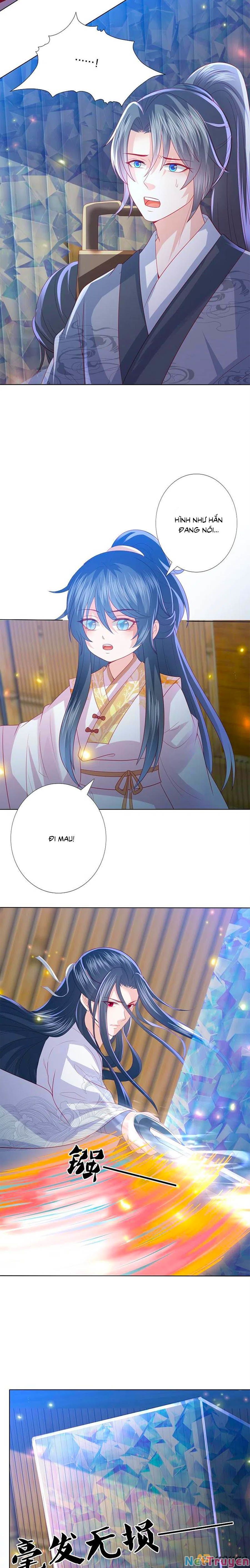 đọc truyện Phượng Hoàng Thác: Chuyên Sủng Khí Thê Chương 230 ảnh 11 tại Thiên Thai Truyện