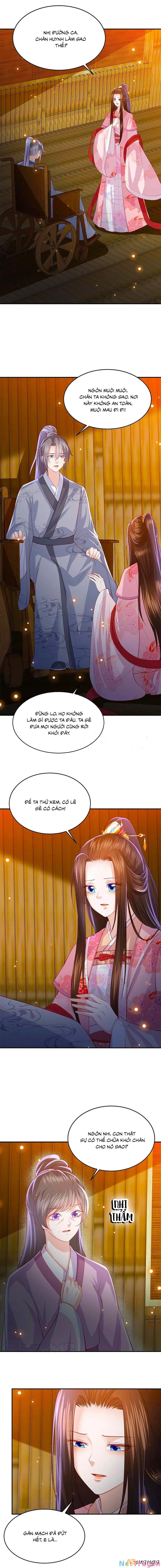 đọc truyện Phượng Hoàng Thác: Chuyên Sủng Khí Thê Chương 231 ảnh 3 tại Thiên Thai Truyện