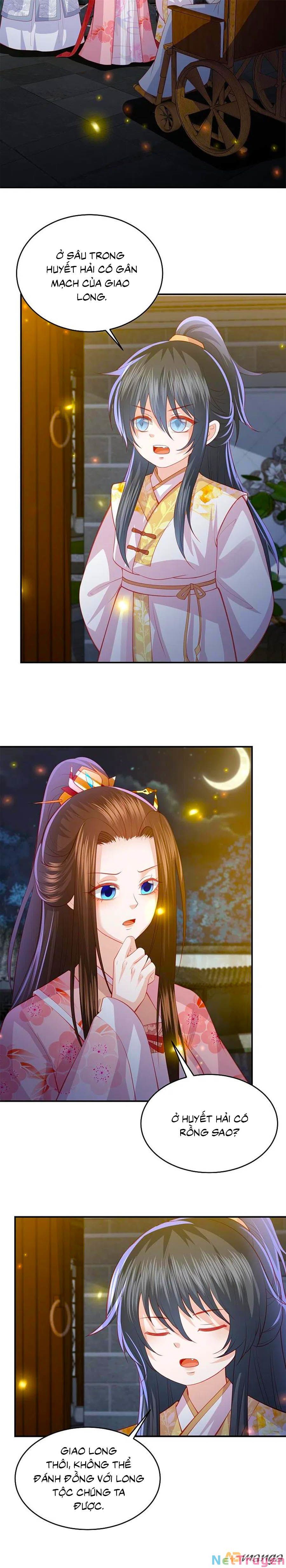 đọc truyện Phượng Hoàng Thác: Chuyên Sủng Khí Thê Chương 235 ảnh 8 tại Thiên Thai Truyện