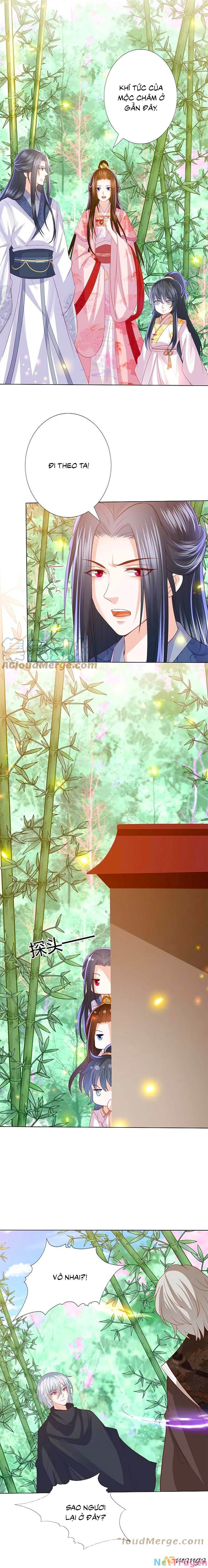 đọc truyện Phượng Hoàng Thác: Chuyên Sủng Khí Thê Chương 236 ảnh 8 tại Thiên Thai Truyện