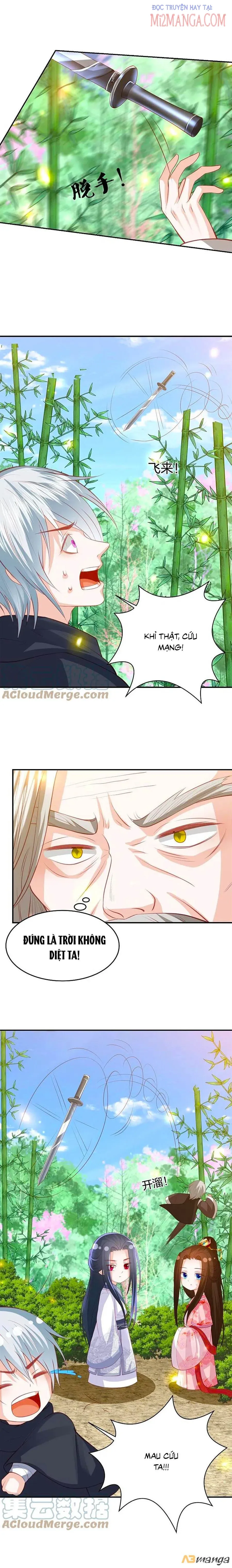 đọc truyện Phượng Hoàng Thác: Chuyên Sủng Khí Thê Chương 237 ảnh 5 tại Thiên Thai Truyện